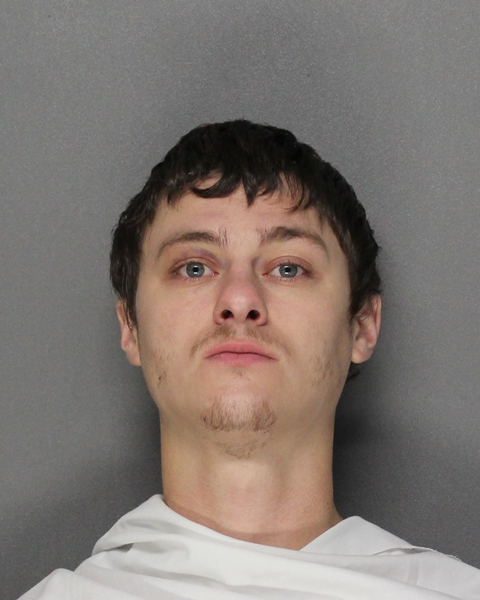 Mugshot of TAYLOR JOSIAH LEE MEASE