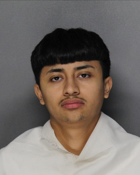 Mugshot of JULIAN JOSE VILLA