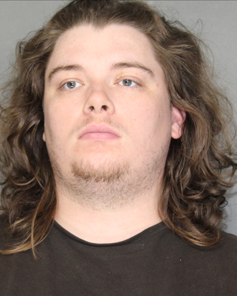 Mugshot of REAGAN DALE ELLIS