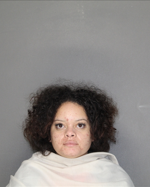 Mugshot of VANESSA POSOS GARZA