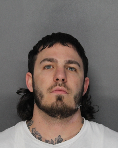 Mugshot of MICHAEL DALE DARLAND