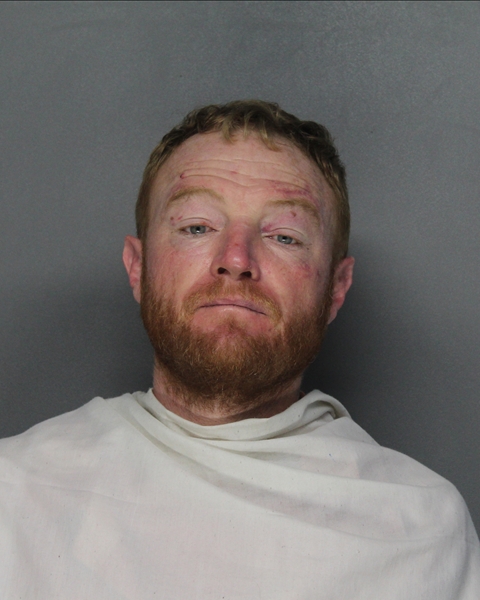 Mugshot of JAMES JUSTIN SANDERS