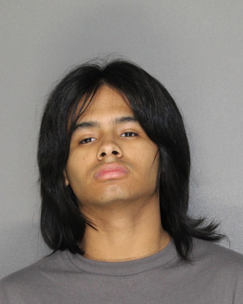 Mugshot of IVAN MARTINEZ