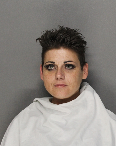 Mugshot of ROBIN RENAE PRYOR GIBSON