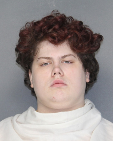 Mugshot of KEVIN PATRICK WITTY
