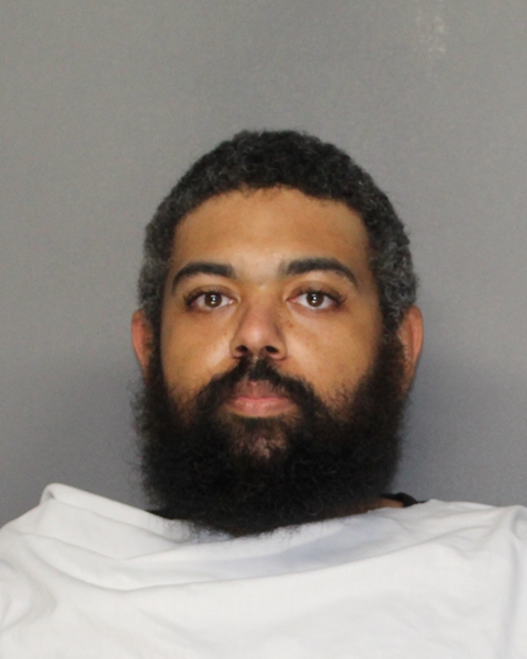 Mugshot of PAUL TANNER JONES