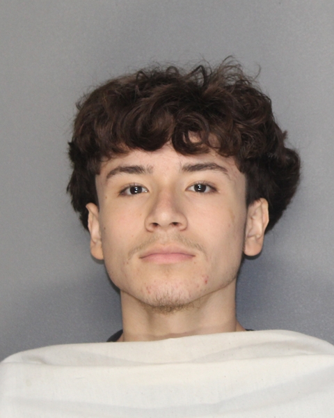 Mugshot of KAEDYN XAVIER SARMIENTO
