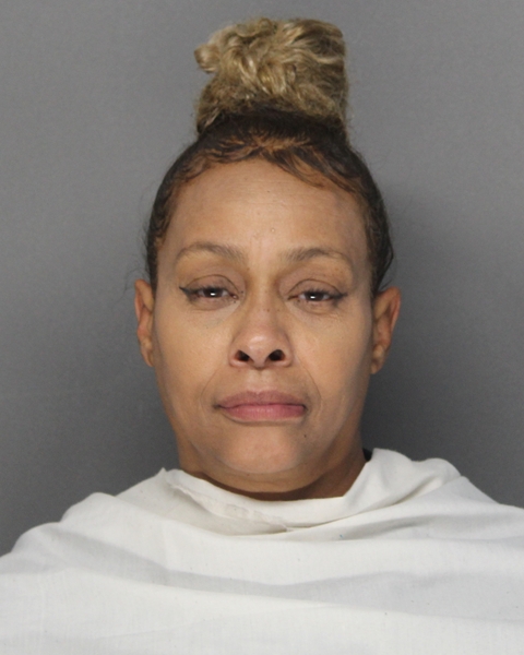 Mugshot of SANDRA DENISE RICARD-CHISOLM