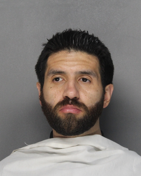 Mugshot of BRANDON TYLER JOHNSTON
