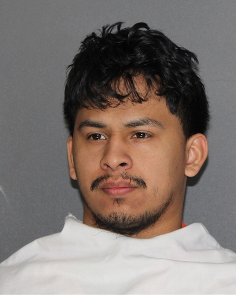 Mugshot of RICARDO TRINIDAD HERNANDEZ