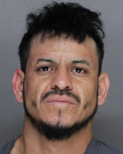 Mugshot of LUIS RAMON DIAZ-GUERRA