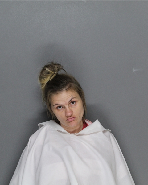 Mugshot of LAURA RENE JENKINS