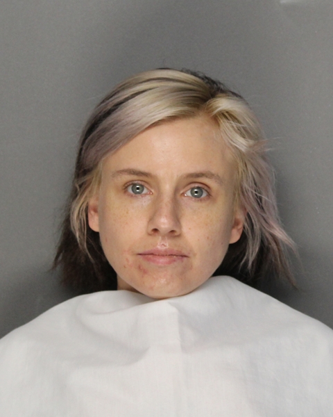 Mugshot of SARAH ELIZABETH CHENETTE