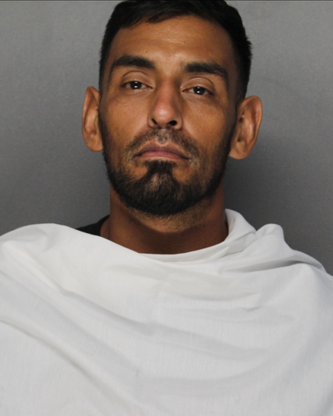 Mugshot of JOSE IVAN PENA