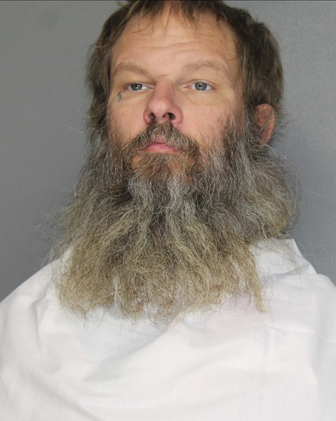 Mugshot of ROBERT ANTHONY SIKES