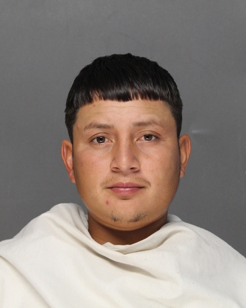 Mugshot of JEFFRY ALVARADO-AGUILAR
