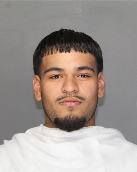 Mugshot of DAMION DELEON AUMADA