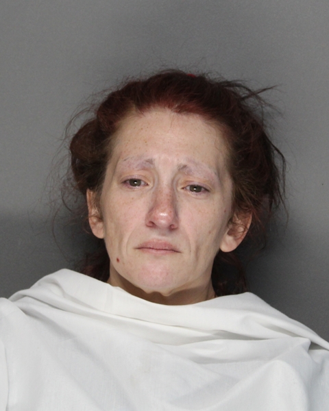 Mugshot of JESSICA MICHELLE KARLINER