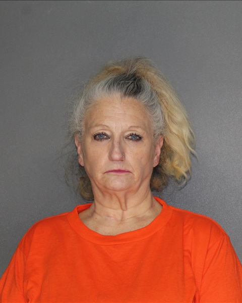 Mugshot of SHARI LYNNE WILCOXSON