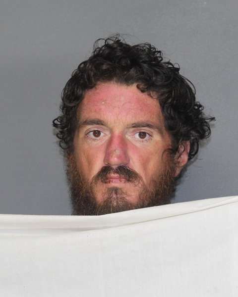 Mugshot of BILLY RAY, JR VAUGHAN