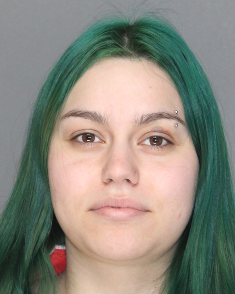 Mugshot of JALYSSA MARIE STONE