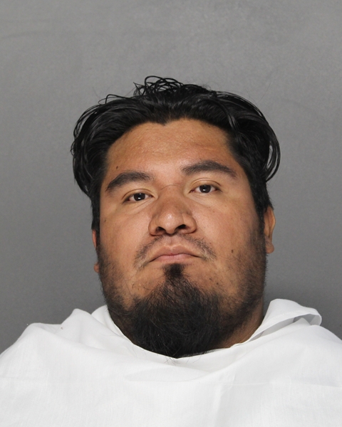 Mugshot of MATHEAU JESUS DELAROSA
