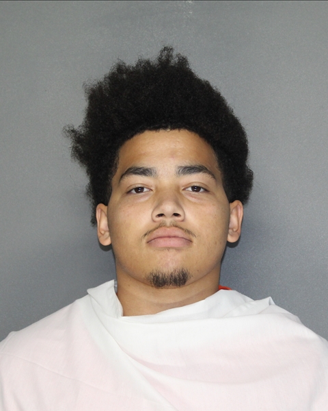Mugshot of MARCUS LEROYNELL, JR SCHOREA