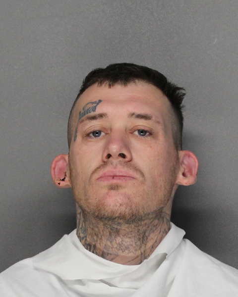 Mugshot of MICHAEL JAY ROCHESTER