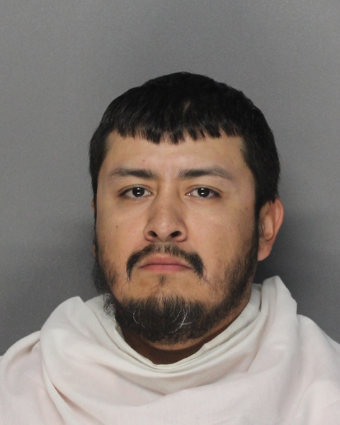 Mugshot of RALPHAEL MORALES