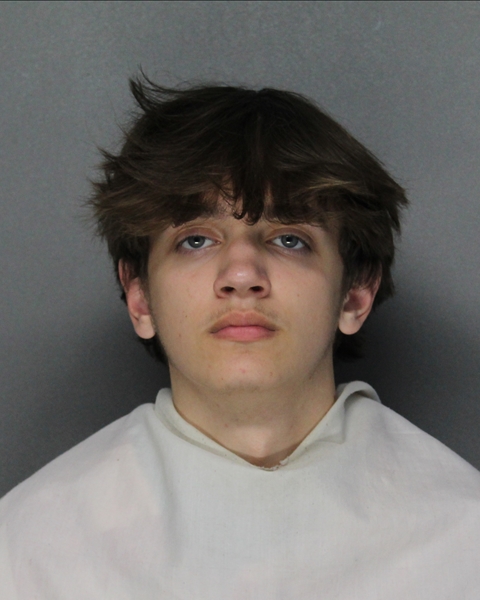 Mugshot of AYDEN CHARLIE SWEENEY