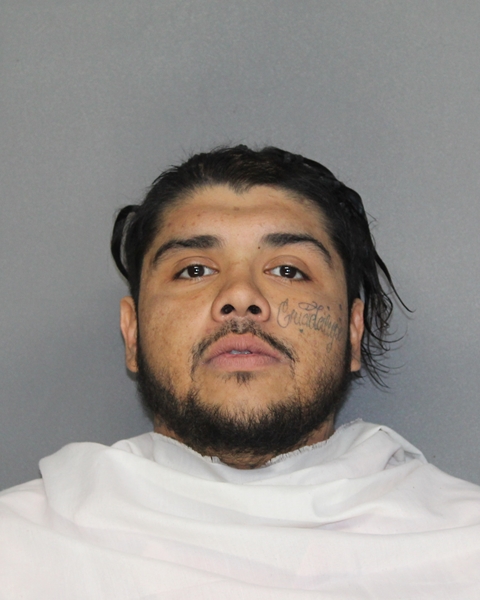Mugshot of FERNANDO JR ALBA