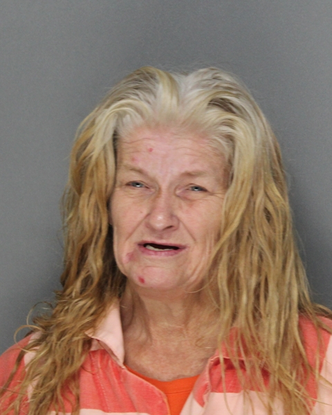 Mugshot of ANGELA MAUREEN LOVE