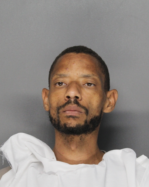 Mugshot of DEANTHONY TERRY