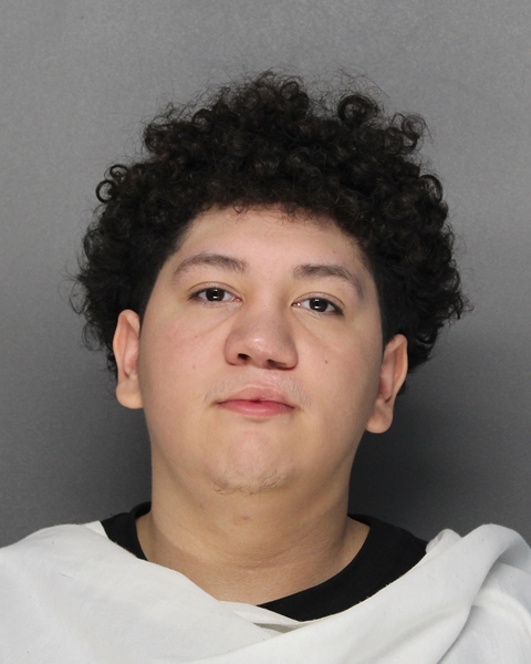 Mugshot of ELIAN ANTONIO JIMENEZ