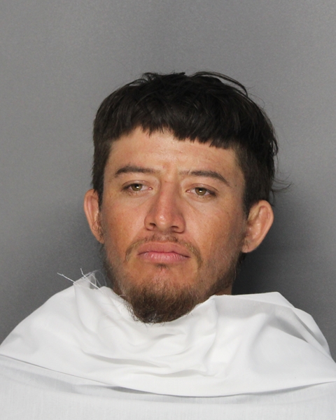 Mugshot of GUSTAVO MENDEZ-ORTIZ