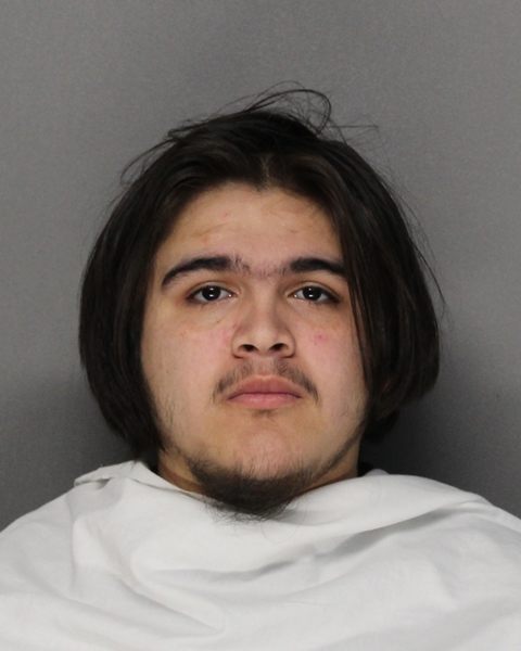 Mugshot of JOSE LUIS DIAZ