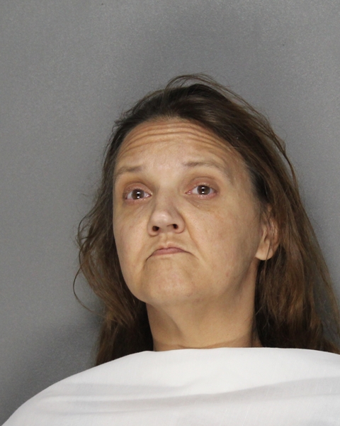 Mugshot of CHRISTINE DUDKA