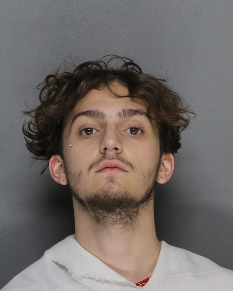 Mugshot of JONAS LINCOLN HUTCHISON