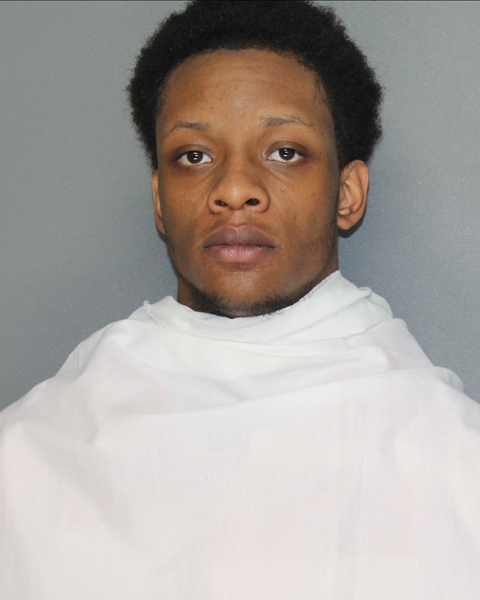 Mugshot of LEON ROBERT ELKINS