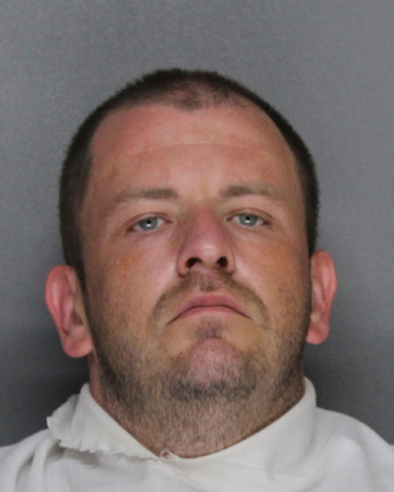 Mugshot of RYAN LEE ROBINSON