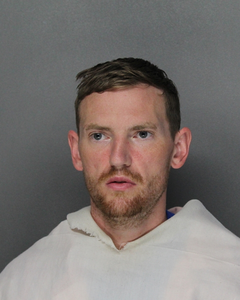 Mugshot of DEREK TYLER MCELROY