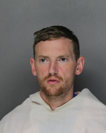 Mugshot of DEREK TYLER MCELROY