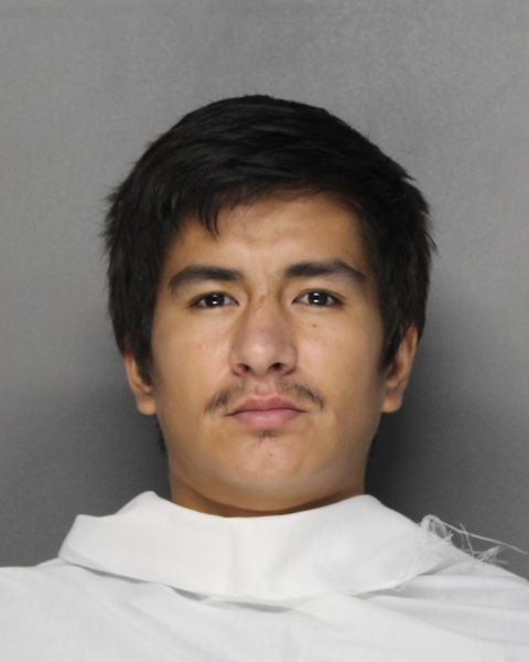 Mugshot of JESSE VALLES