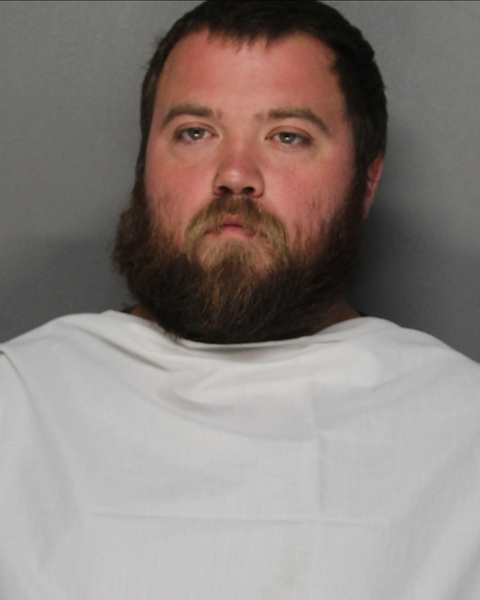 Mugshot of MEREDITH GLENN PALMER