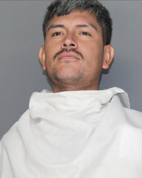 Mugshot of DIEGO ARROYO MEZA