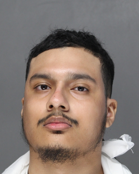 Mugshot of JOSHUA FAJARDO