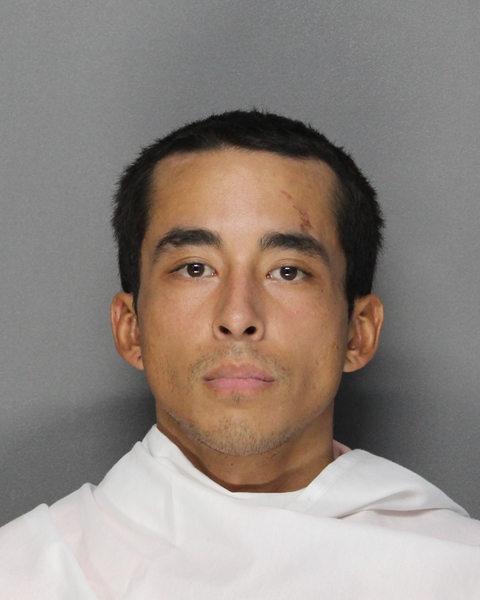 Mugshot of JOSEPH ALEXANDER PITTS