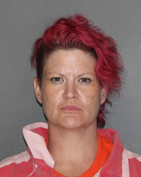 Mugshot of BRANDY SIMEON