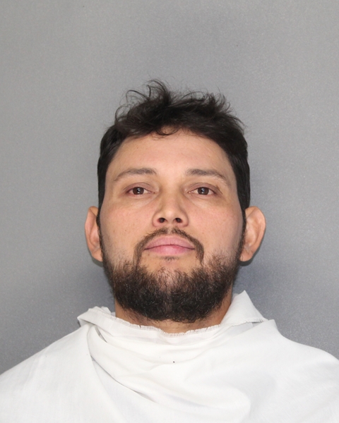 Mugshot of WILMER LEON-VALLES