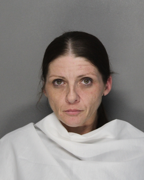 Mugshot of SHANNON LEE CURRAN